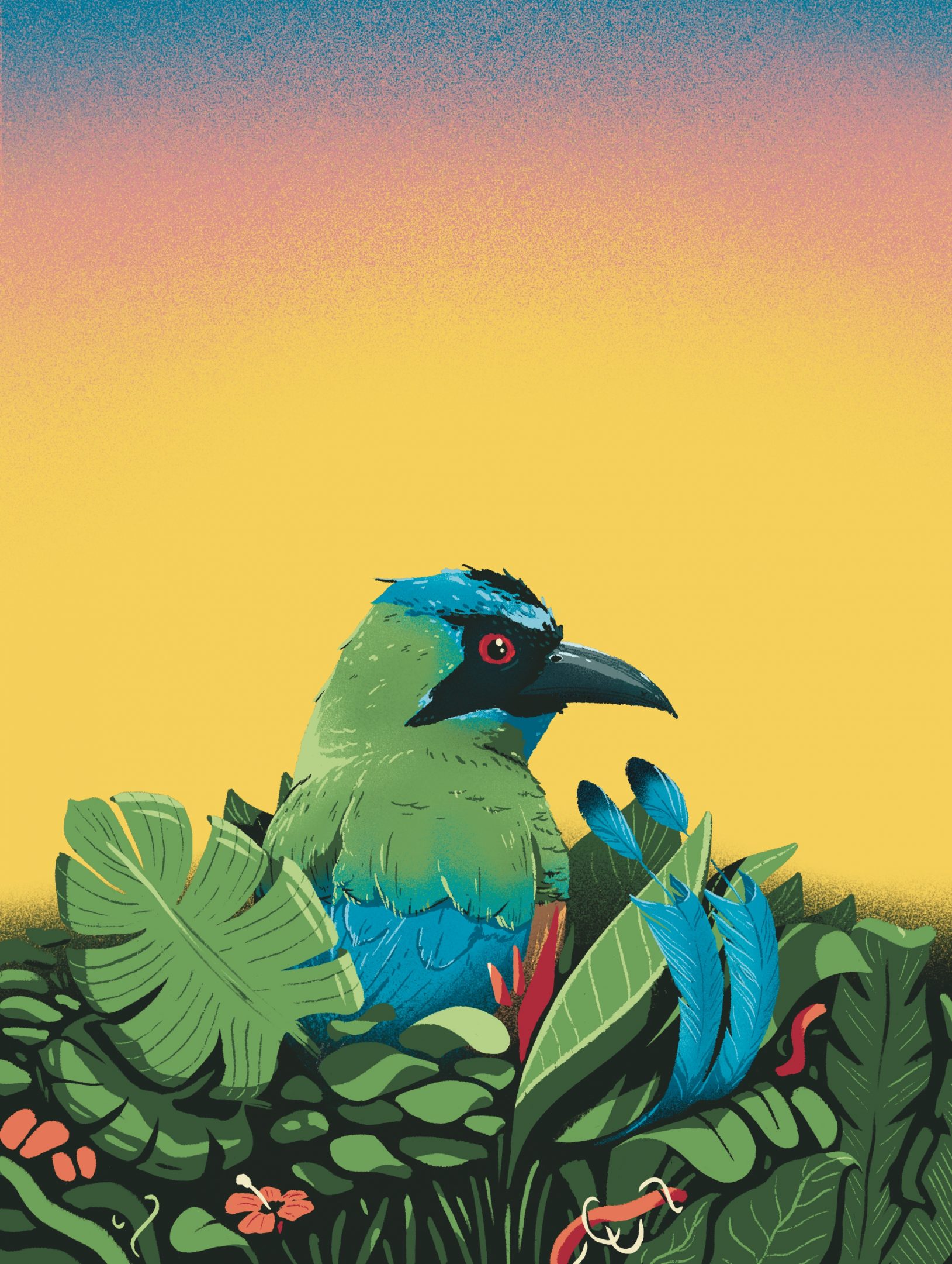 Illustration by Jason Dejaegere of a Colombian Barranquero inside the jungle for the brand of coffee Pachacafé