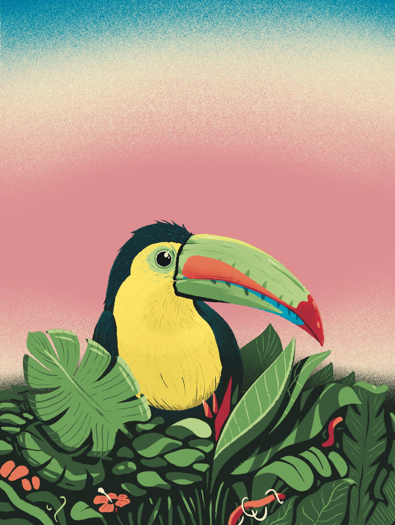 Illustration by Jason Dejaegere of a Costa Rican Toucan inside the jungle for the brand of coffee Pachacafé